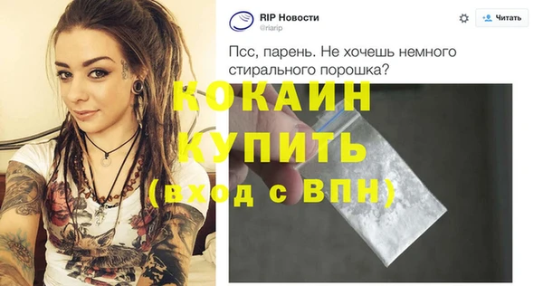 крисы Магадан