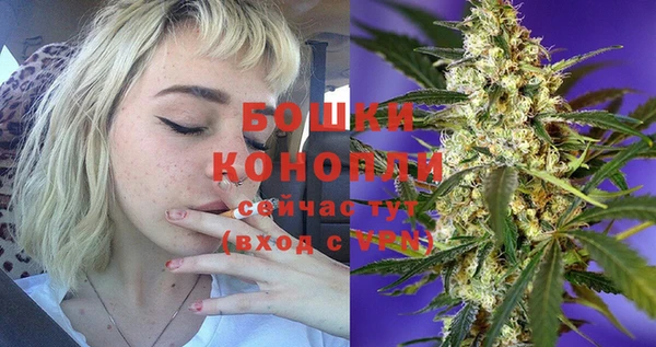 крисы Магадан