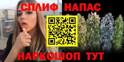шишки Шебекино