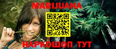 шишки Шебекино