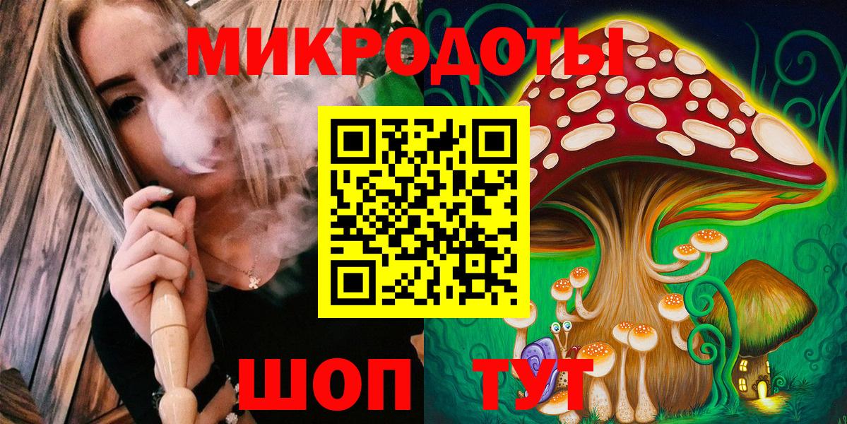 Галлюциногенные грибы Psilocybe Энгельс
