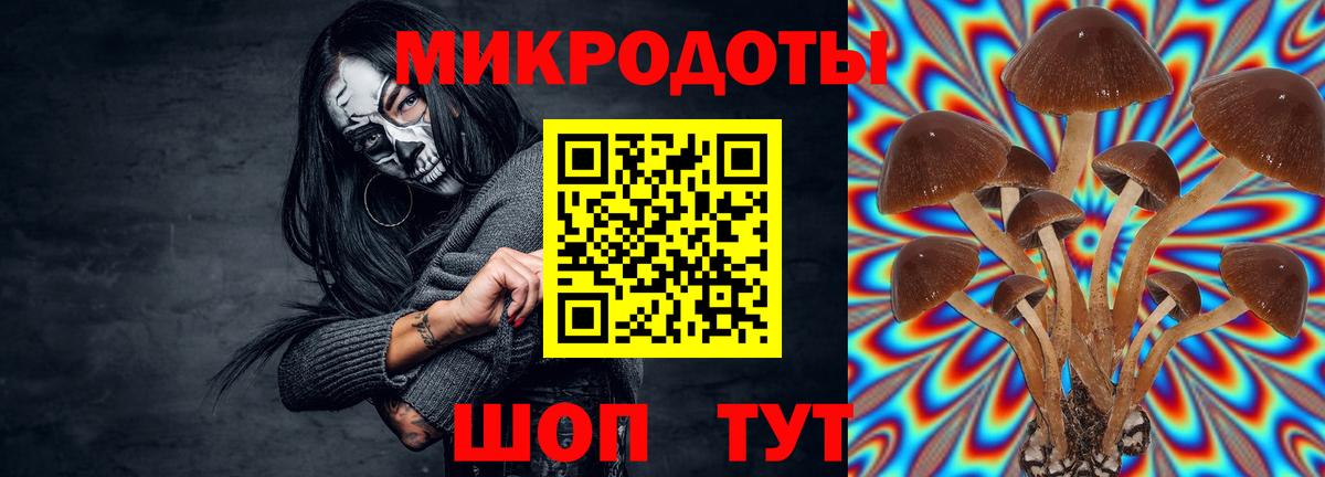 Энгельс  Галлюциногенные грибы прущие грибы  как найти   Галлюциногенные грибы GOLDEN TEACHER  Вход с VPN 